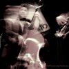Omer Avital Quintet